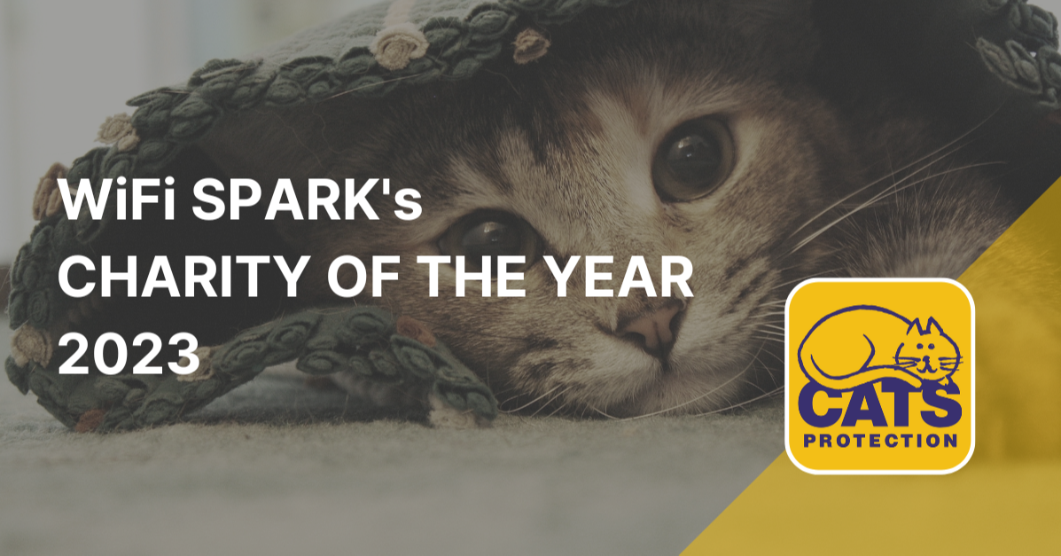 WiFi SPARK's Charity of the Year 2023 - Cats Protection